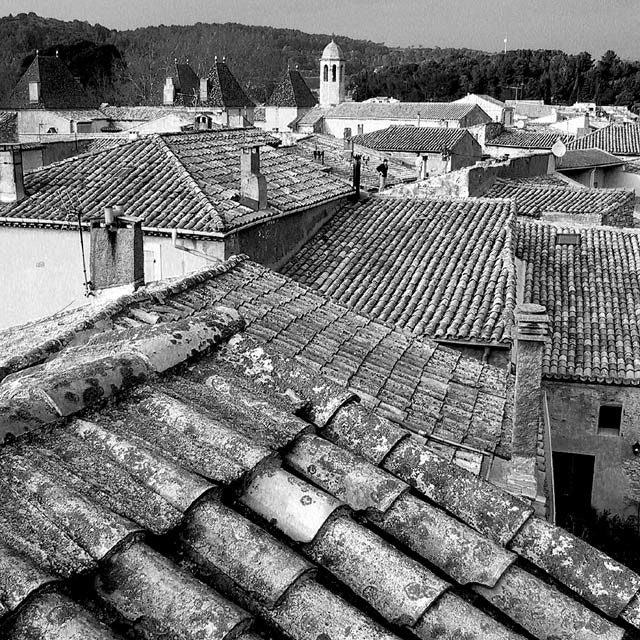 Village  Canopy
