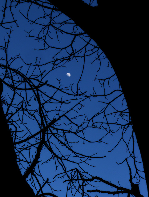 moon2.jpg