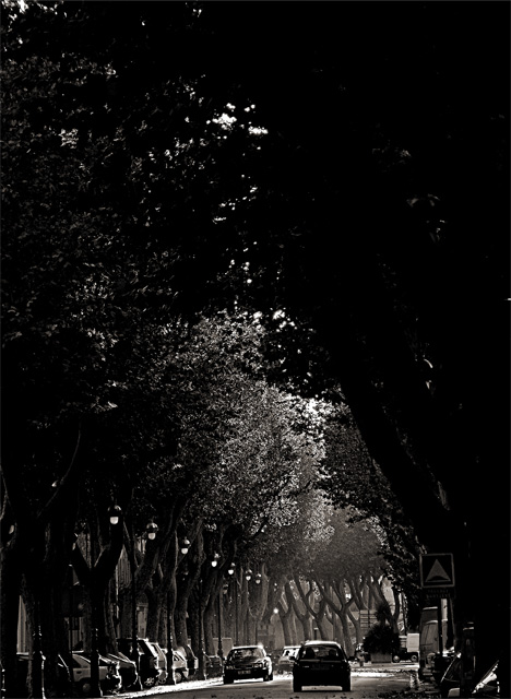 Boulevard