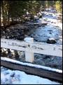 Montana Stream