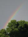 Rainbow 3