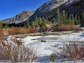 Frozen Pond
