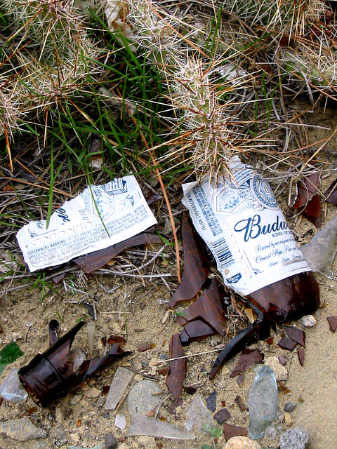 Litter