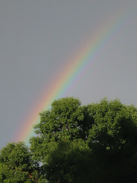 Rainbow 3