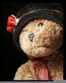 Beary Good Memories