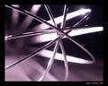 Whisk