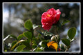 Season of Love