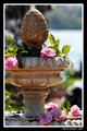Springtime Fountain