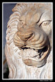 Lion Statue