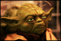Yoda