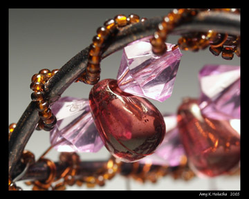 Amber Fly