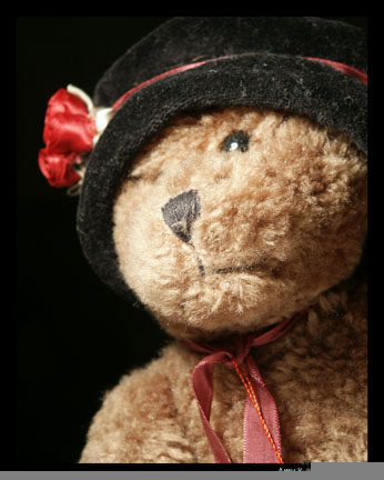 Beary Good Memories