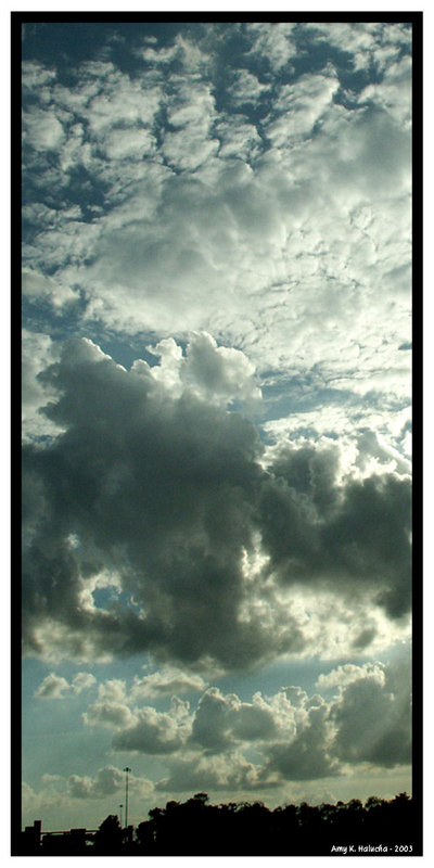 Panoramic Sky