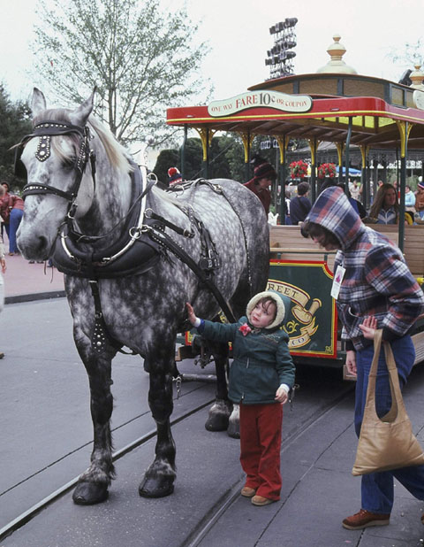 AmyHorseweb.jpg