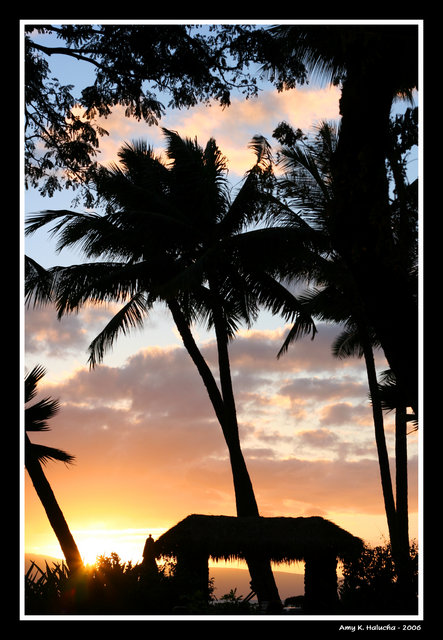 Tropical Amber Skies