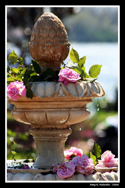 Springtime Fountain