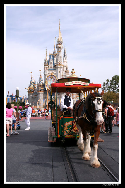 Magic Kingdom 2006
