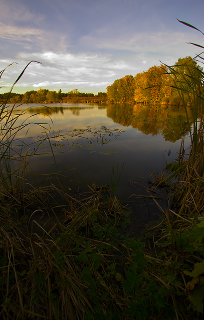 roberts-pond