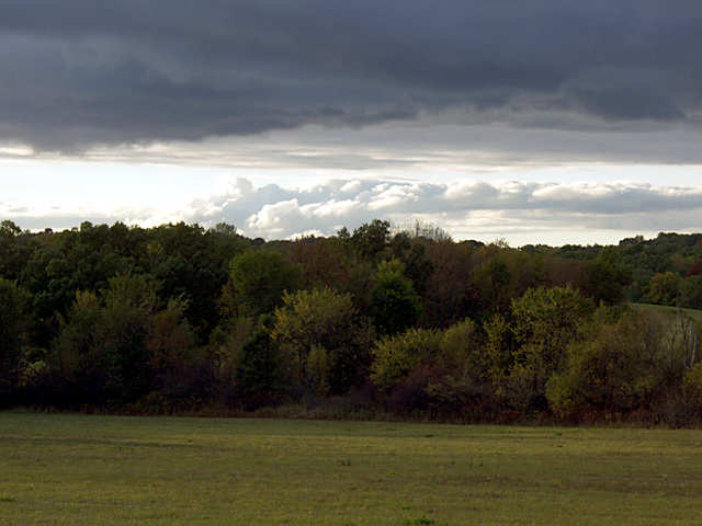 Springfield Pasture