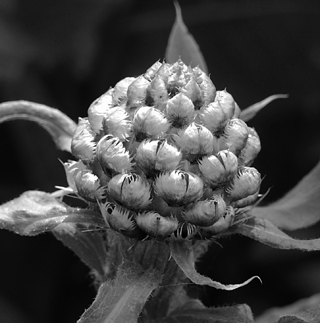 07/16/03