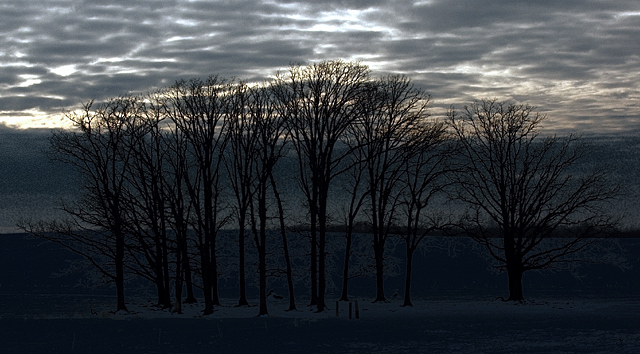 02-18-04 Brandt Rd