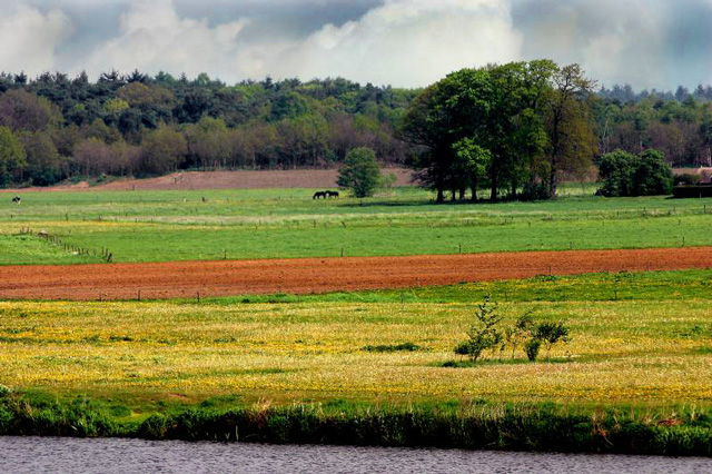 Spring Across The River