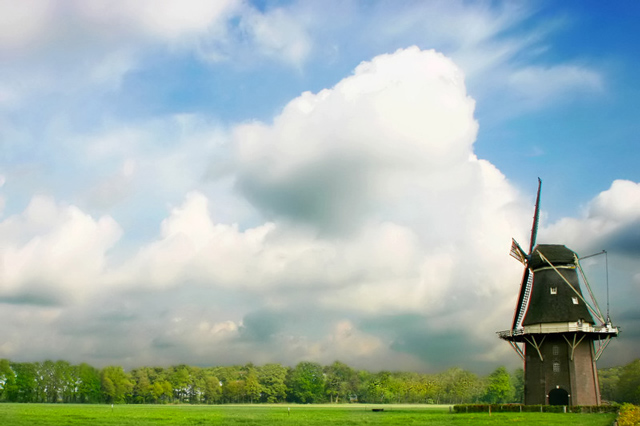 Rural Dutch Landscape