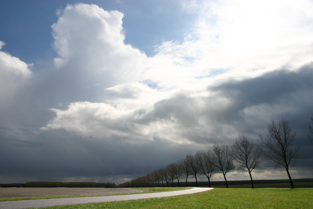 Turbulent Skies