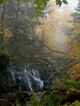 The Yellow Dog Falls