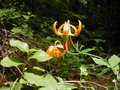 p7130040.JPG