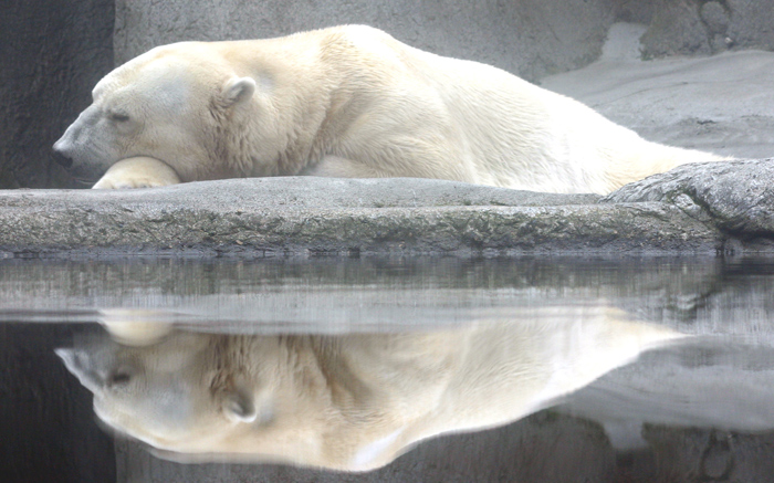 naptime.jpg