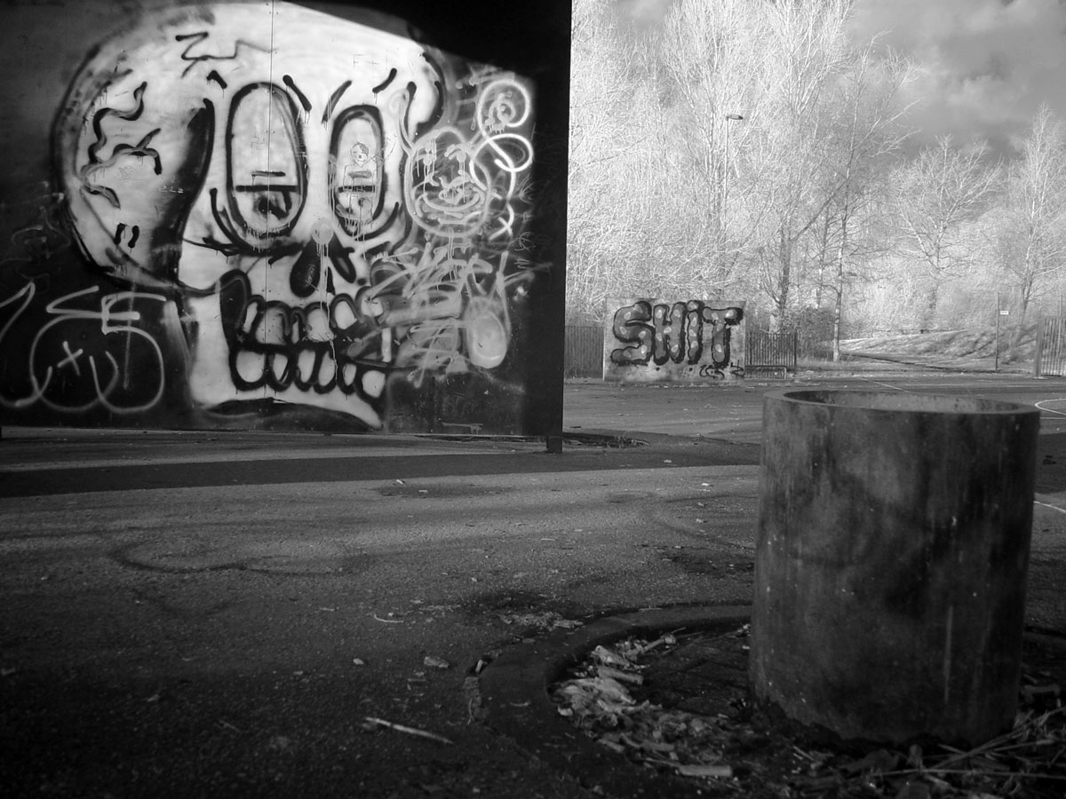 dpcDSC00076original