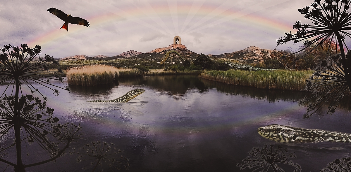 composite-LUT-color