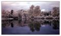pond