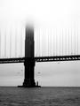 Black and White Golden Gate