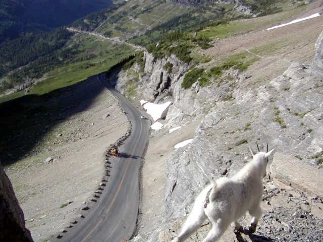 Acrophobia