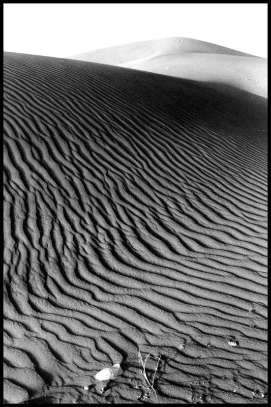 Sahara