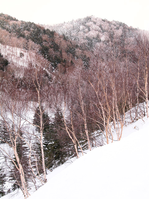 Nagano