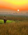 A nice morning in an indian village