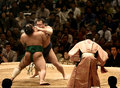 Sumo wrestlers