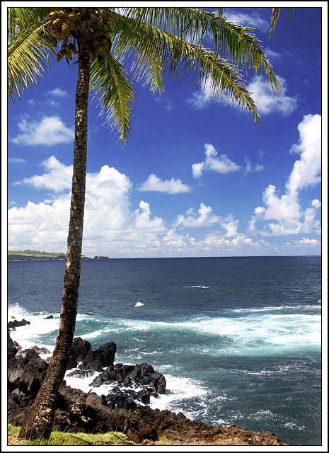Shades of blue
