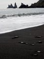 Reynisdrangar