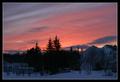 Bruce-Blvd.-Sunset.jpg