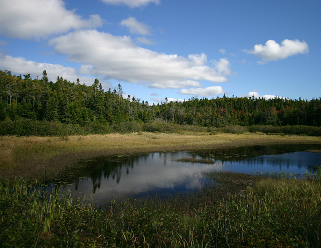 Mill Road Pond