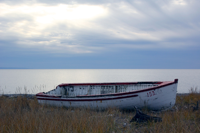 High-and-Dry-Colour.jpg
