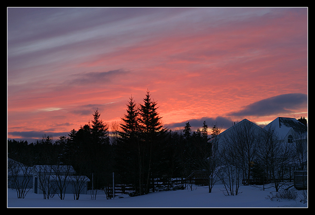 Bruce-Blvd.-Sunset.jpg
