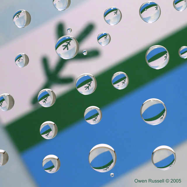 Labrador Flag Abstract