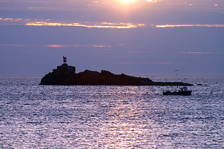 Squarry-Head-2.jpg