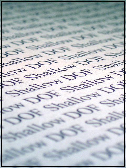 Shallow DOF(640 px).jpg