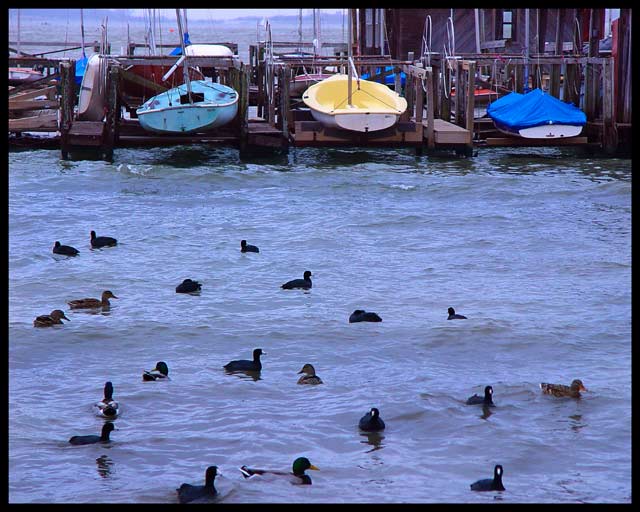 White Rock Lake